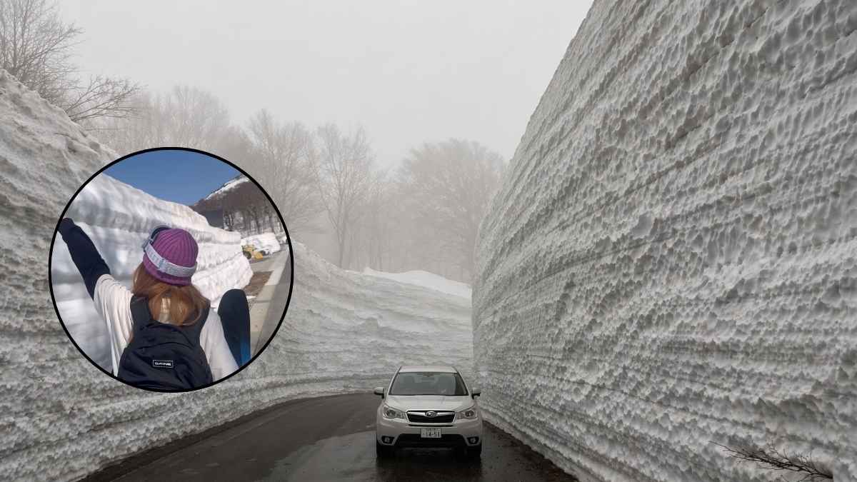 Carretera entre altos muros de nieve en Gassan, Japón, durante la apertura de la temporada de esquí de verano