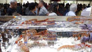 La feria del marisco llega con entrada gratuita para comer pulpo, bogavantes,  centollos, almejas, mejillones y a precios populares: fecha y lugar del evento