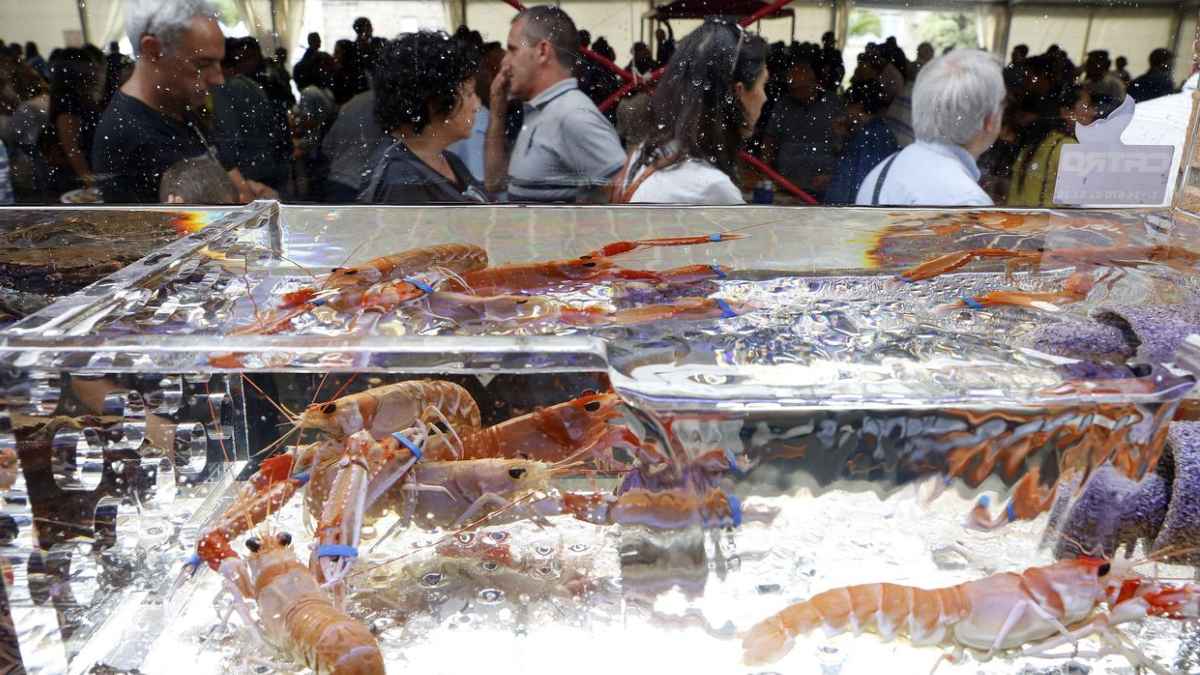 Marisco expuesto en la feria del marisco de Alcobendas con entrada gratuita y productos gallegos a precios populares