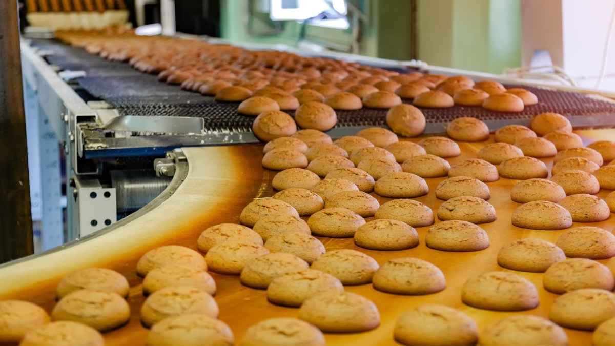 Línea industrial de producción de galletas en fábrica tras el nuevo real decreto del Gobierno