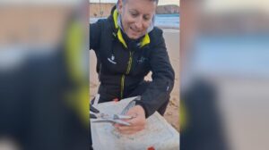 Los pescadores que no corten la aleta caudal a sus capturas pueden enfrentarse a multas de hasta 3.000 euros