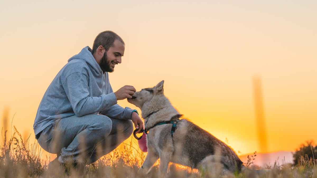 Hombre agachado acariciando a su perro al aire libre al atardecer antes de viajar por Europa con mascotas