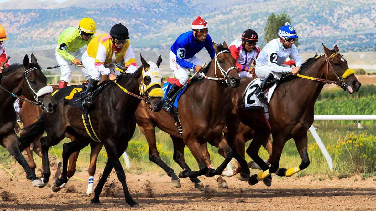 Carrera de caballos con varios jinetes compitiendo, imagen relacionada con apuestas hípicas y el despido confirmado por el TSJ del País Vasco.