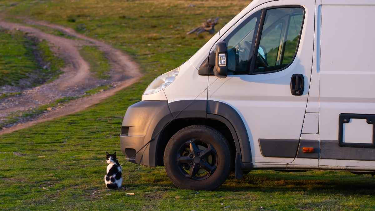Furgoneta camper aparcada en el campo durante un viaje de van life