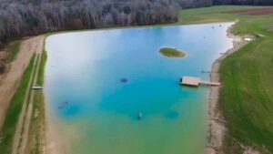 Construyeron un lago para criar lubinas y acabaron viendo un ecosistema completo con aves, mamíferos y depredadores salvajes