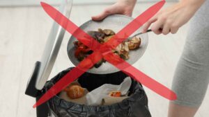 ¿Te ha sobrado medio pollo? La ley obliga a bares y restaurantes a facilitarte el envase gratis para llevártelo a casa de forma segura