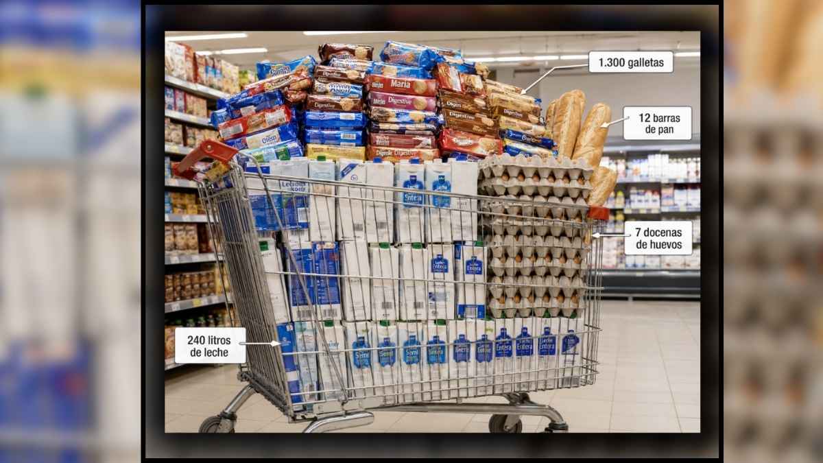 Carro de la compra con 1.300 galletas, 240 litros de leche, 7 docenas de huevos y 12 barras de pan