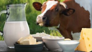 Sanidad alerta en toda España por quesos frescos de vaca contaminados por Listeria