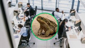Es oficial: identifican el síndrome del SAPO en las empresas y ya saben cómo frenarlo