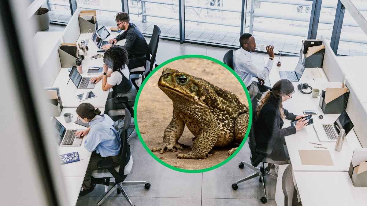 Síndrome del SAPO en una oficina con empleados trabajando y un sapo en el centro representando actitudes tóxicas laborales