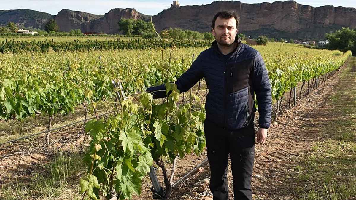 Agricultor español en un viñedo denunciando la competencia desleal del campo marroquí
