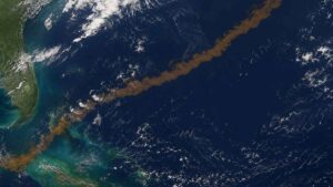 Una cinta marrón visible desde el espacio sorprende a los científicos por su rápido crecimiento en el Atlántico