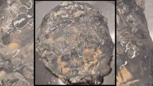 Crean en Andalucía un gel elaborado con algas y cáscaras que mantiene la humedad de los cultivos incluso en épocas de sequía