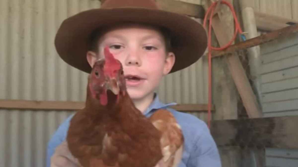 Niño de 6 años con una gallina tras montar un negocio de huevos para pagar la escuela