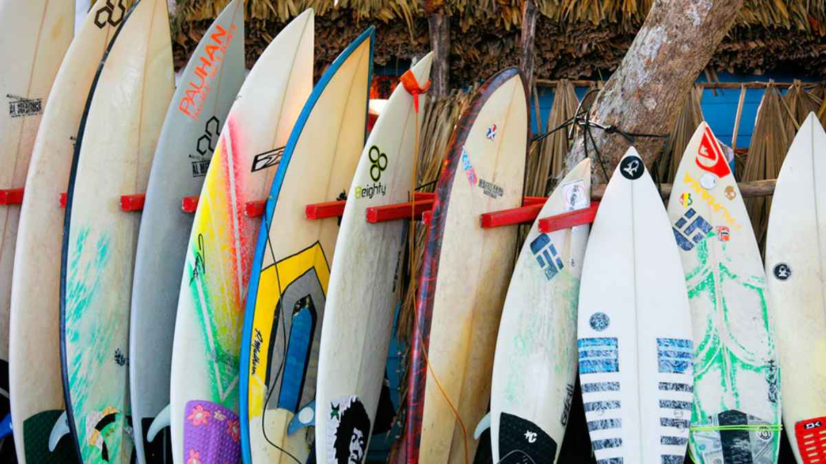 Tablas de surf colocadas en un soporte para ilustrar el impulso del surf en Cantabria