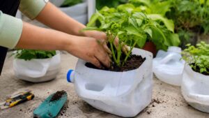 Por qué cada vez más personas guardan los bidones de plástico antes de tirarlos a la basura