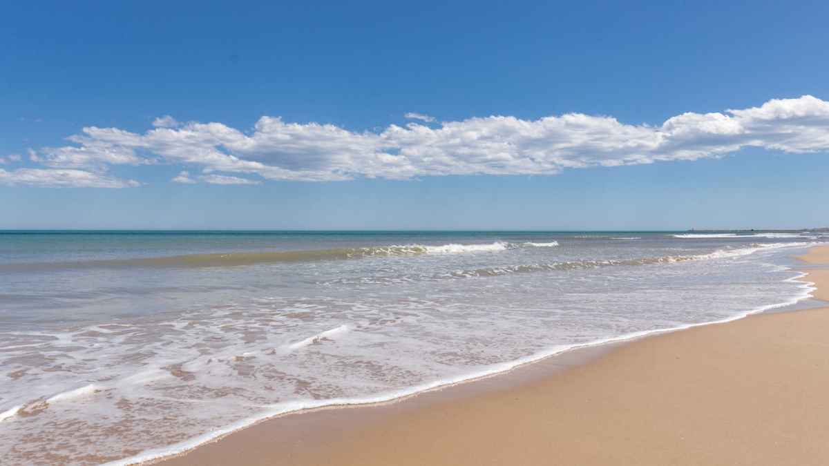Playa del Rebollo en Elche con arena dorada, aguas tranquilas y un entorno natural de la Costa Blanca.