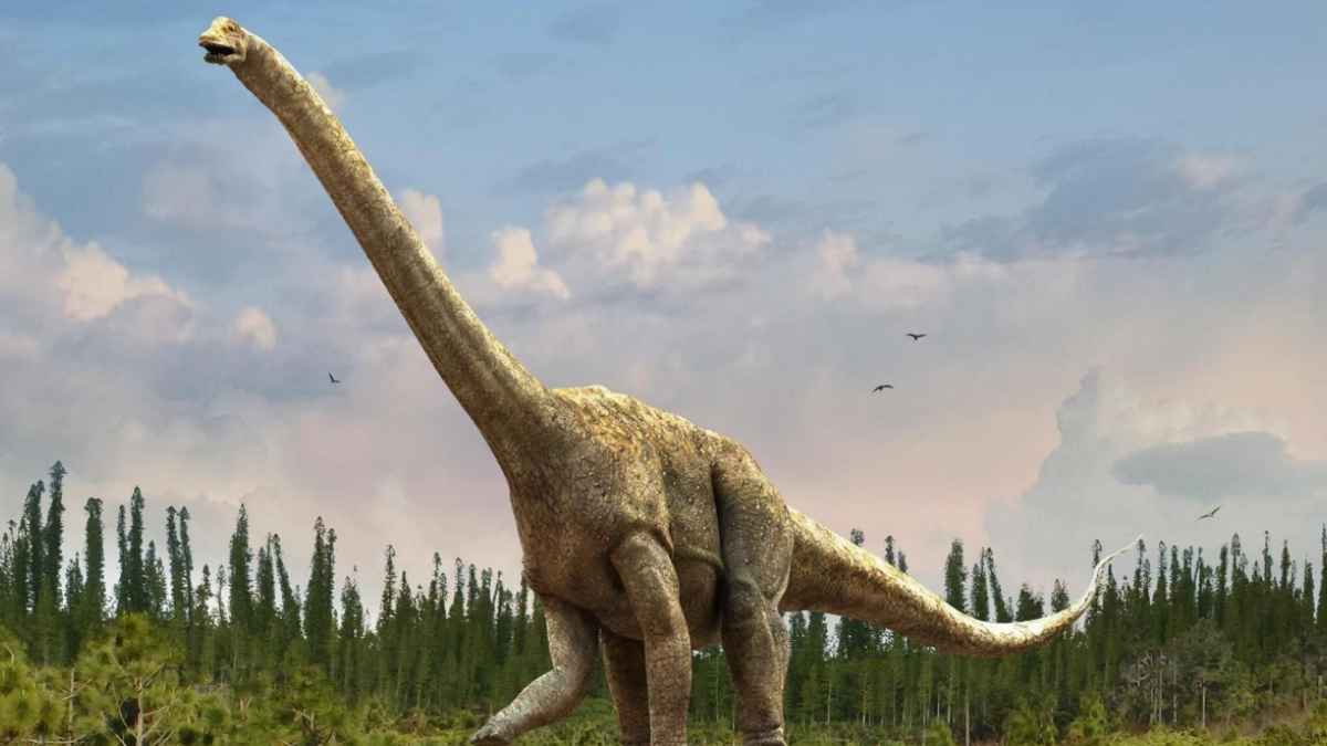 Recreación de un titanosaurio cuyo fósil fue identificado como el primer hueso de dinosaurio hallado en la Antártida