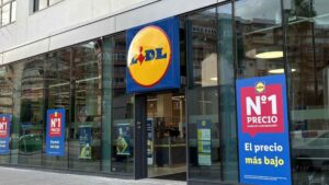 Adiós a los mosquitos en terrazas, balcones y porches con este producto de Lidl: sin insecticida y por menos de 10 euros