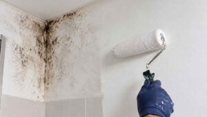 La solución que recomiendan los pintores para evitar que las manchas de humedad vuelvan a salir