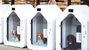 Los aparcamientos para perros llegan a algunos supermercados de Alemania y muchos se preguntan si funcionarían en España