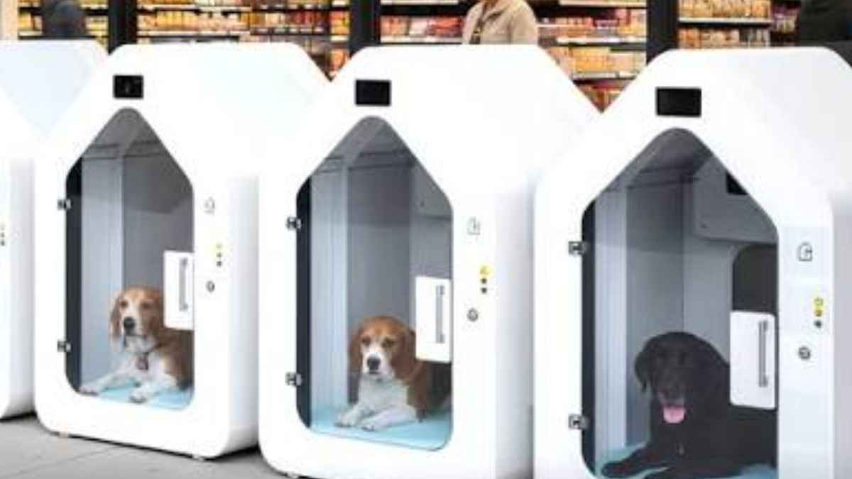 Aparcamientos para perros instalados en un supermercado para que las mascotas esperen mientras sus dueños hacen la compra.