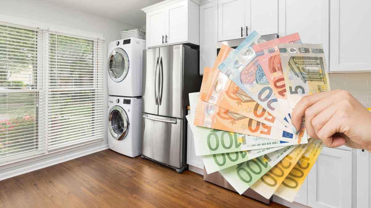 Ayudas para cambiar electrodomésticos antiguos por modelos eficientes