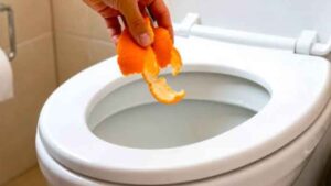 Por qué algunas personas ponen cáscaras de naranja en el váter durante los meses de más calor