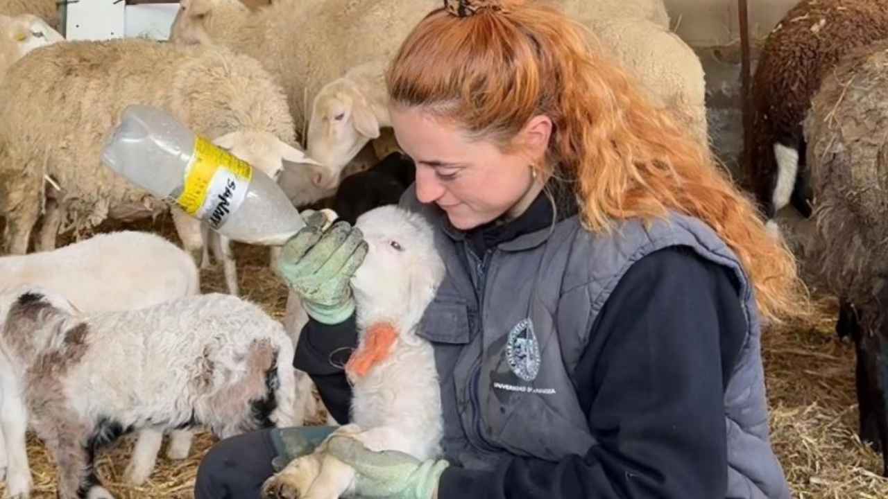 Elena Burillo trabajando en una explotación ganadera y agrícola durante una jornada en el campo.