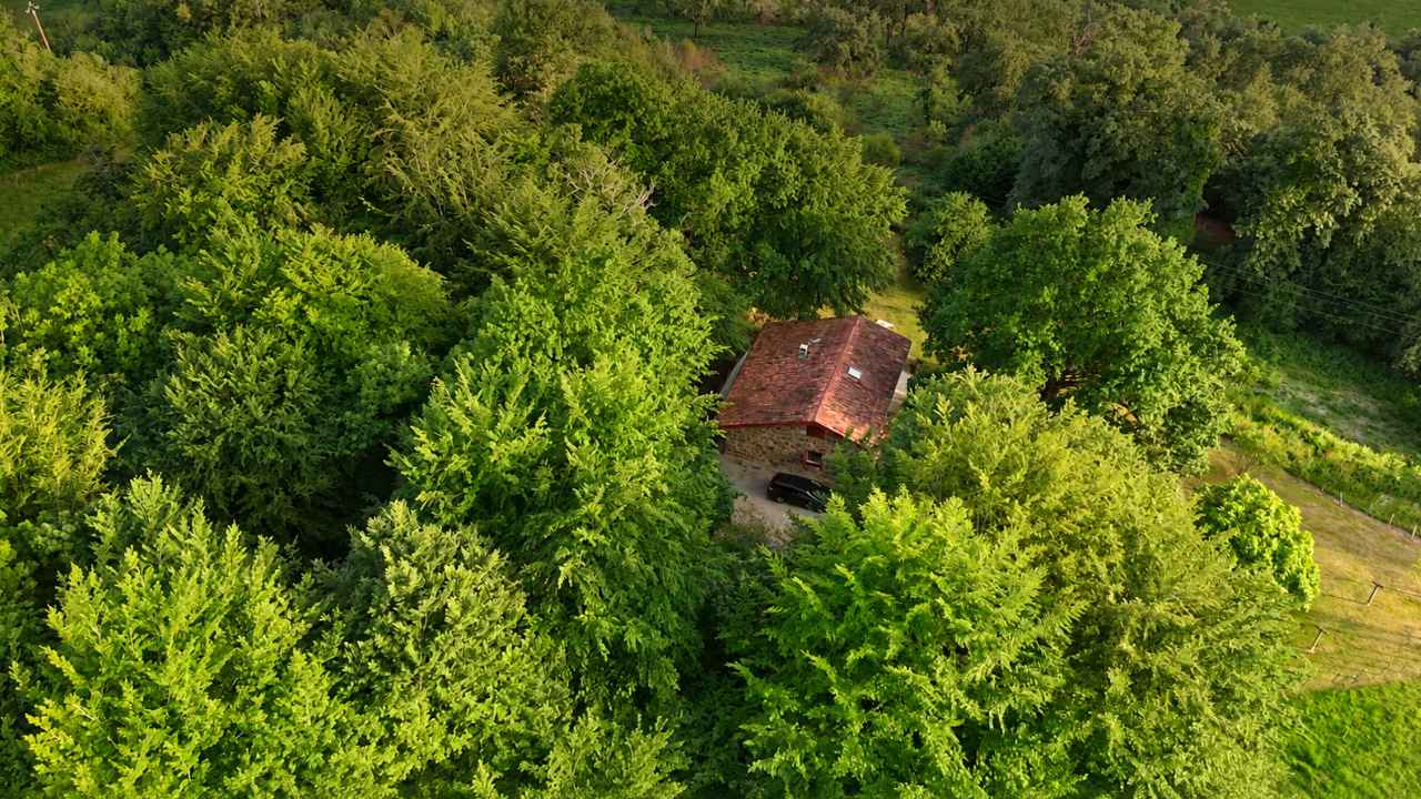 Casa aislada entre árboles donde una familia vive con energía solar y reduce su consumo eléctrico