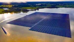 El inesperado efecto de una granja solar flotante que ha favorecido la aparición de peces e invertebrados