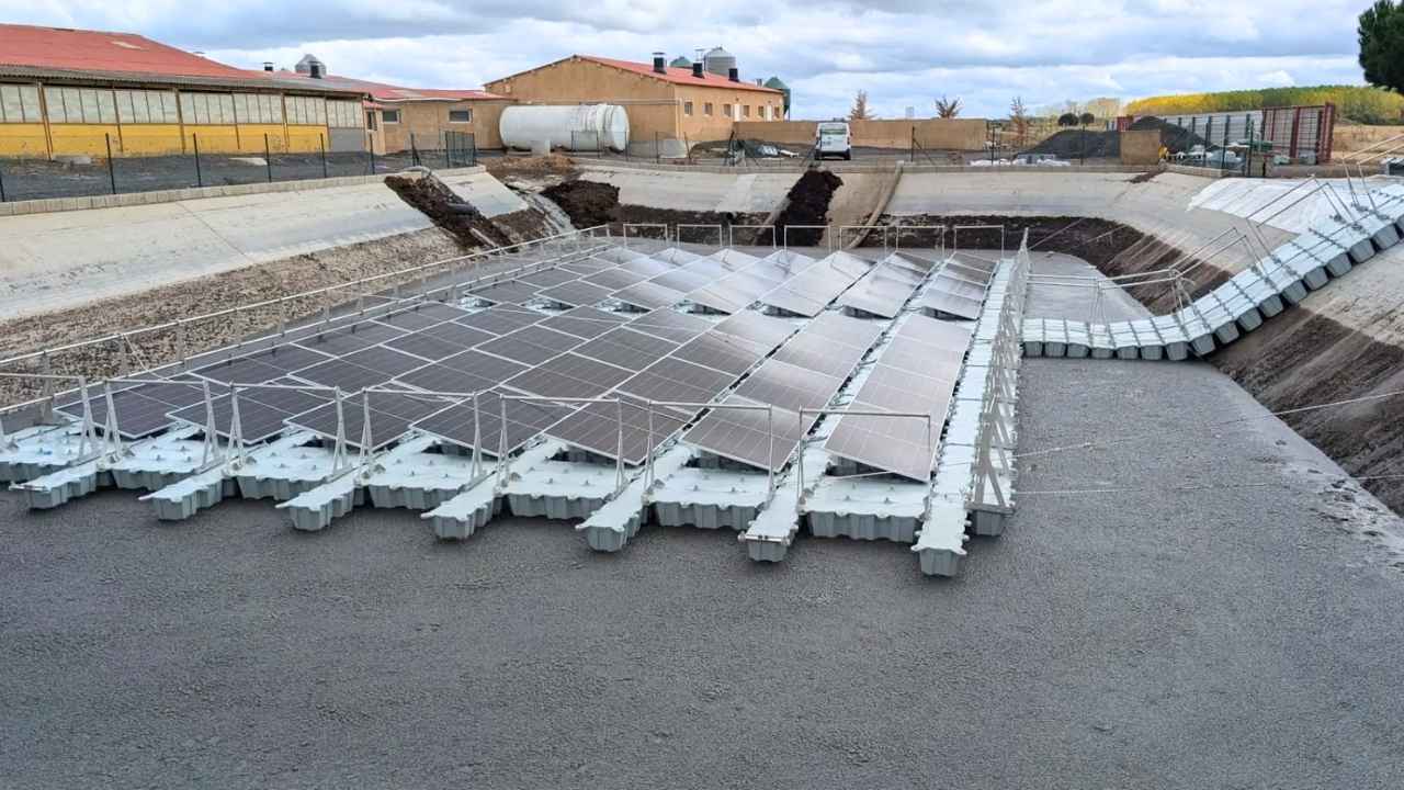 Paneles solares flotantes instalados sobre una balsa de purines en una granja porcina de Aragón