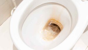 El ingrediente natural que ayuda a eliminar el sarro más difícil del baño en una sola aplicación: no es el vinagre ni el bicarbonato