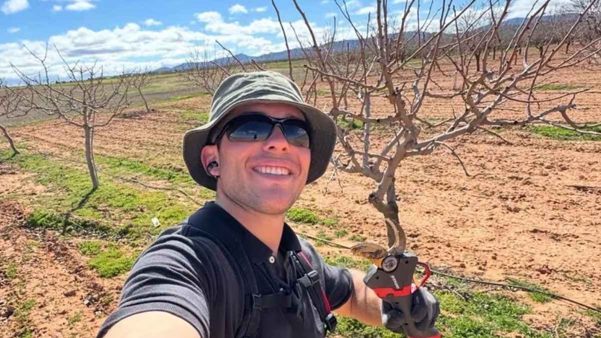 Mario, joven agricultor, trabajando con una tijera de poda en una explotación agrícola