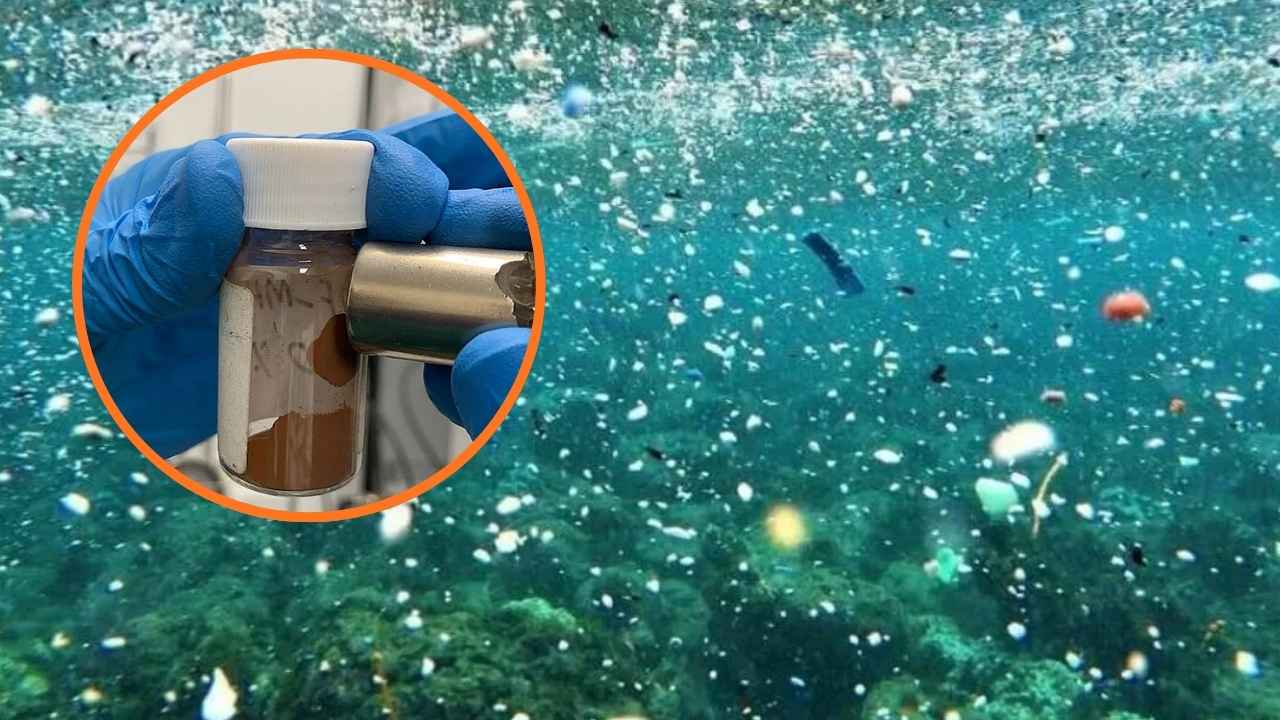 Microplásticos y residuos de plástico flotando bajo el agua
