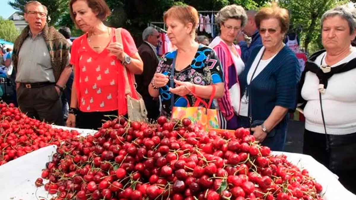 Cerezas en la Romaría das Cereixas de Vilacoba en Abegondo, A Coruña