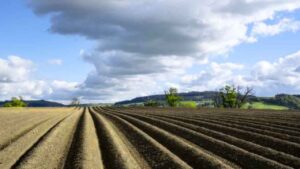 Un agricultor enterró dos calzoncillos iguales y el suelo sin arar descompuso uno casi por completo en dos meses