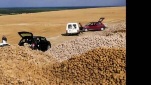Regala 500 toneladas de patatas que no podía vender y algunos terminan revendiendo sacos de 20 kilos por 15 euros