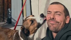 Pablo, camarero español en Suiza, vive sobre ruedas con su perra bellota y convierte sus dos días libres en 48 horas de viaje