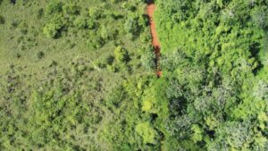 Nadie reconocía el paisaje 16 años después de depositar 12.000 toneladas de cáscaras de naranja en Costa Rica