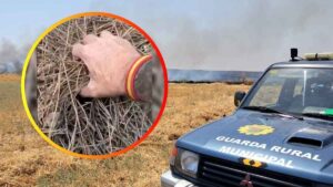 Un guarda rural muestra un pinar con restos secos y critica que los incendios forestales se atribuyan solo al cambio climático