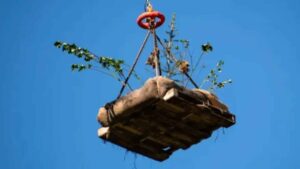 Un helicóptero dejó 90 plataformas cargadas de vegetación autóctona y casi todos los árboles superaron el primer seguimiento