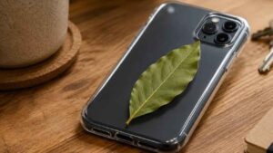 Por qué cada vez más personas llevan una hoja de laurel en la funda del móvil y para qué sirve