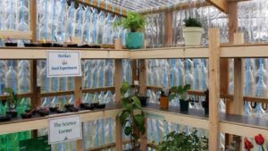 Una escuela recicló 2.000 botellas para crear un invernadero del tamaño de un aula
