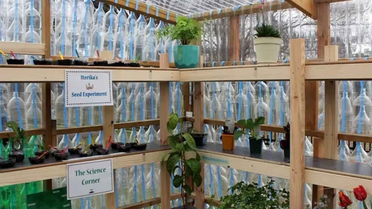 Invernadero escolar construido con más de 2.000 botellas de plástico en Canberra