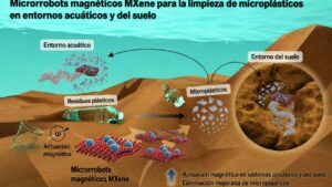 Crean enjambres de microrobots que capturan hasta el 94% de microplásticos del agua y el 81% del suelo
