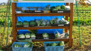 Estas son las curiosas tiendas japonesas de fruta y verdura sin vendedores donde los propios clientes eligen, pagan y se marchan