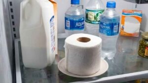 Poner un rollo de papel higiénico en el frigorífico puede ayudar con este problema