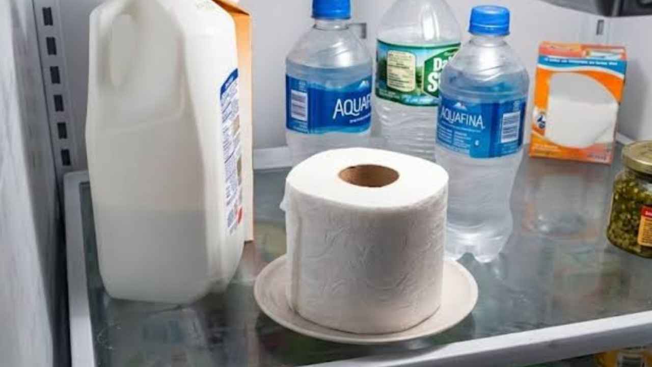 Rollo de papel higiénico colocado en una balda del frigorífico junto a alimentos.