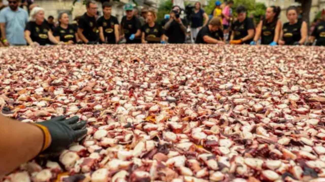 Gran pulpada con numerosas raciones de pulpo durante una fiesta gastronómica en Galicia